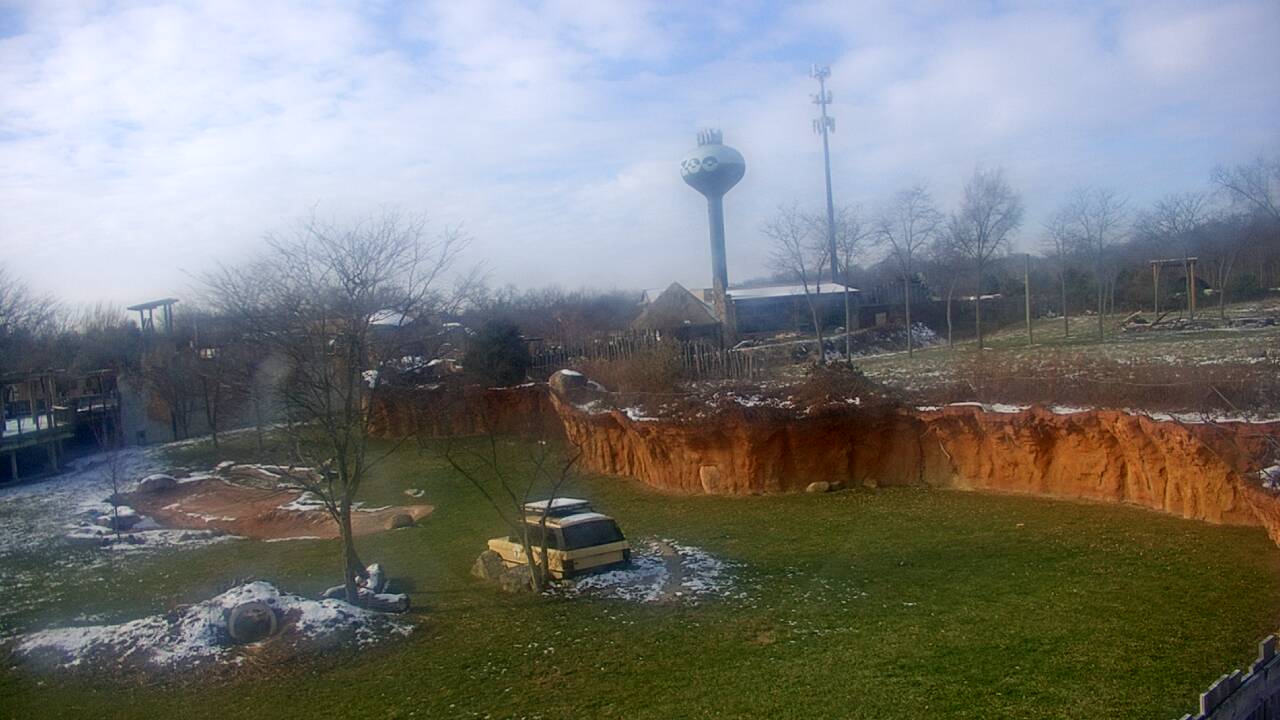 Thumbnail for current weather camera view from Columbus Zoo and Aquarium in Powell, Ohio
