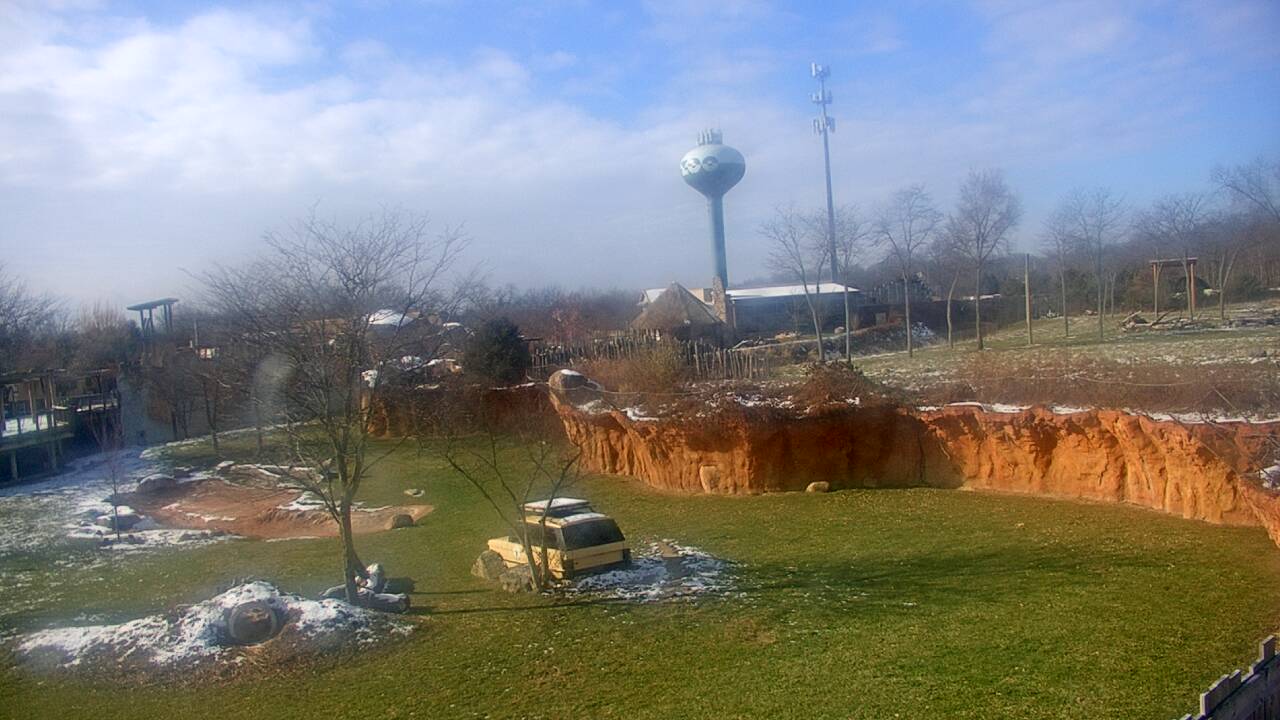 Thumbnail for current weather camera view from Columbus Zoo and Aquarium in Powell, Ohio