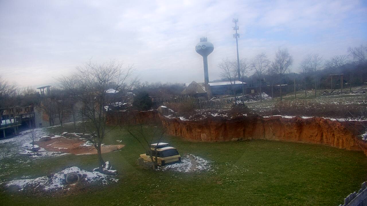 Thumbnail for current weather camera view from Columbus Zoo and Aquarium in Powell, Ohio