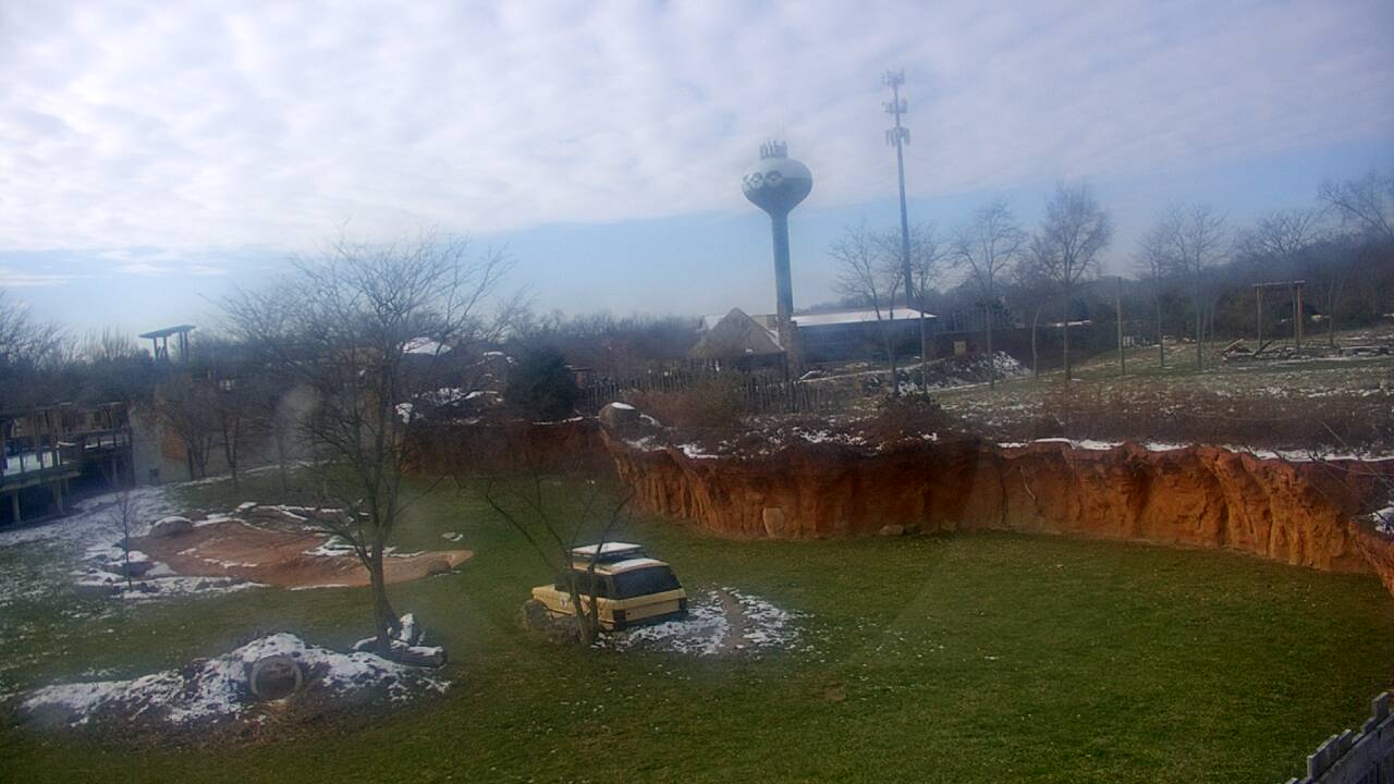 Thumbnail for current weather camera view from Columbus Zoo and Aquarium in Powell, Ohio