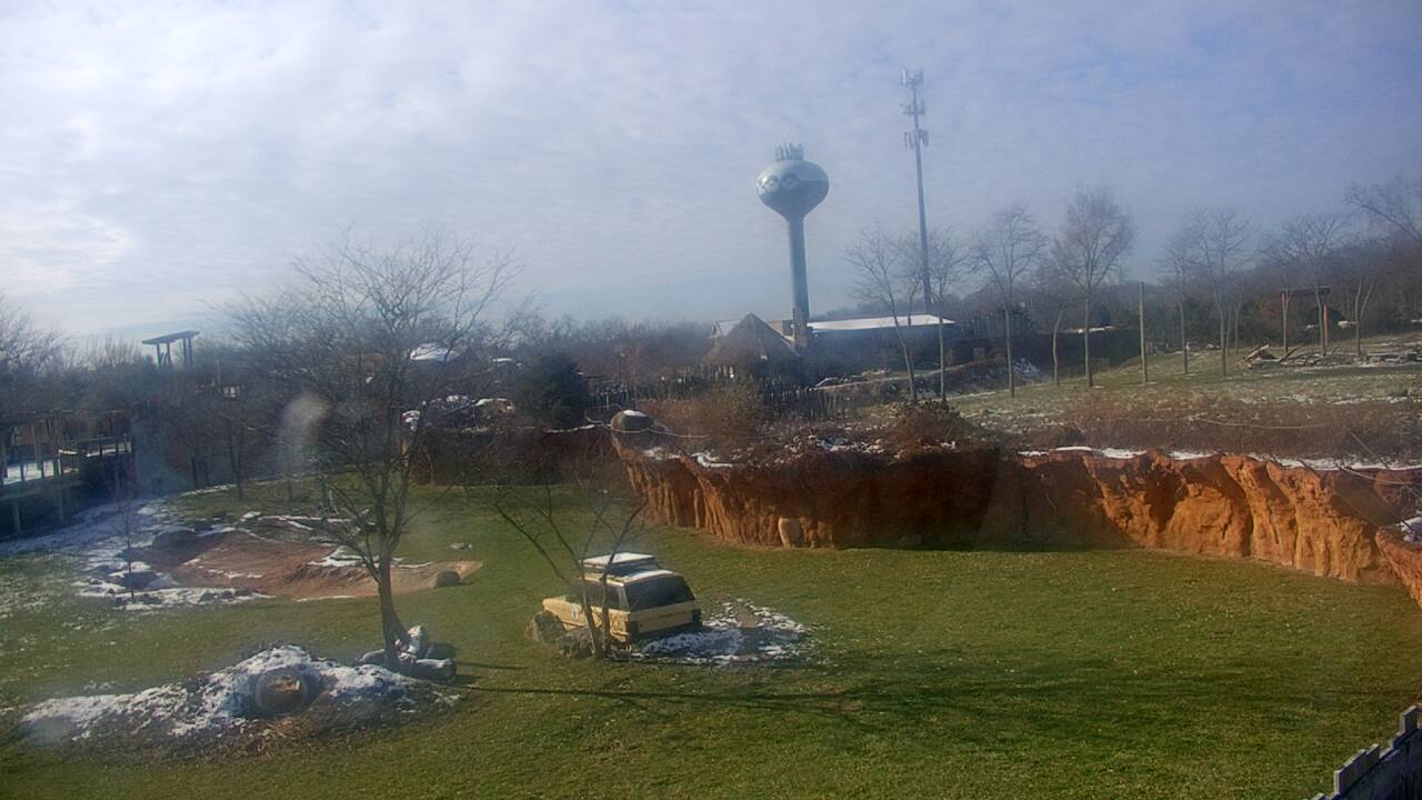 Thumbnail for current weather camera view from Columbus Zoo and Aquarium in Powell, Ohio