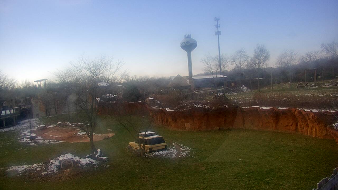 Thumbnail for current weather camera view from Columbus Zoo and Aquarium in Powell, Ohio