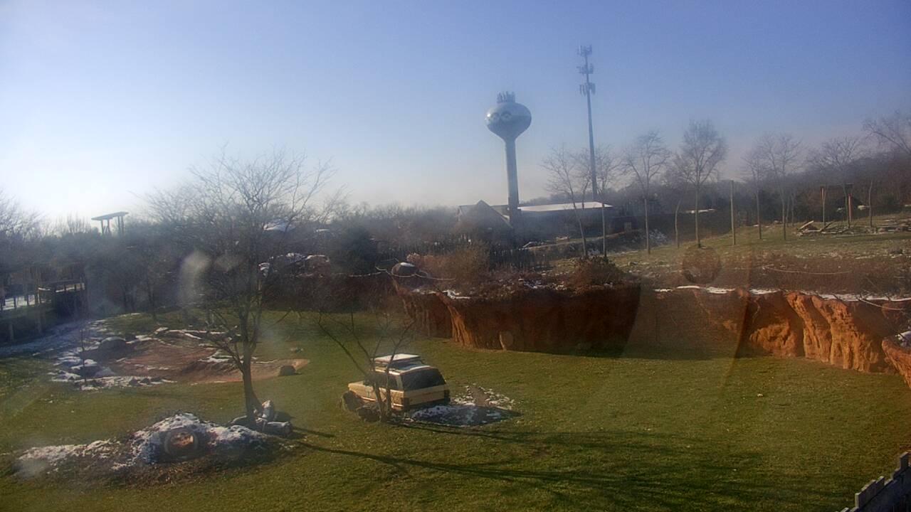 Thumbnail for current weather camera view from Columbus Zoo and Aquarium in Powell, Ohio