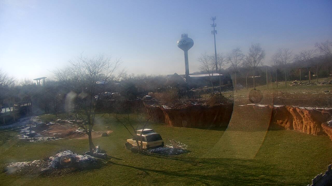 Thumbnail for current weather camera view from Columbus Zoo and Aquarium in Powell, Ohio