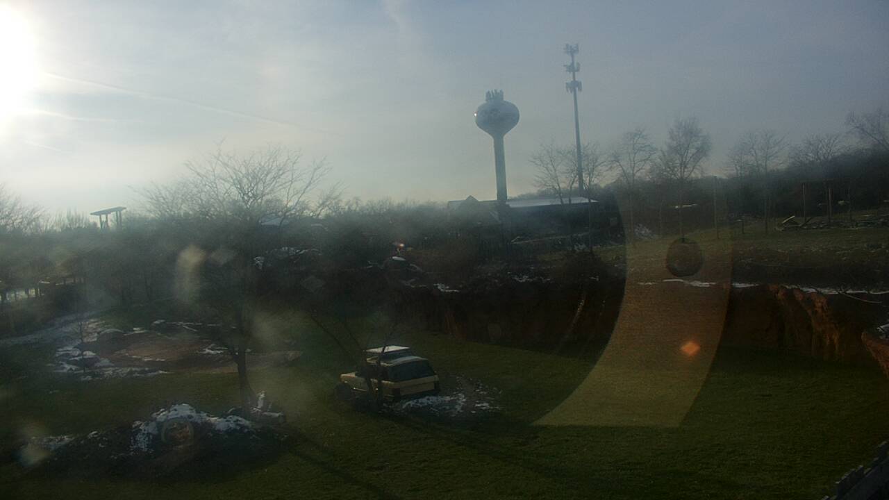 Thumbnail for current weather camera view from Columbus Zoo and Aquarium in Powell, Ohio