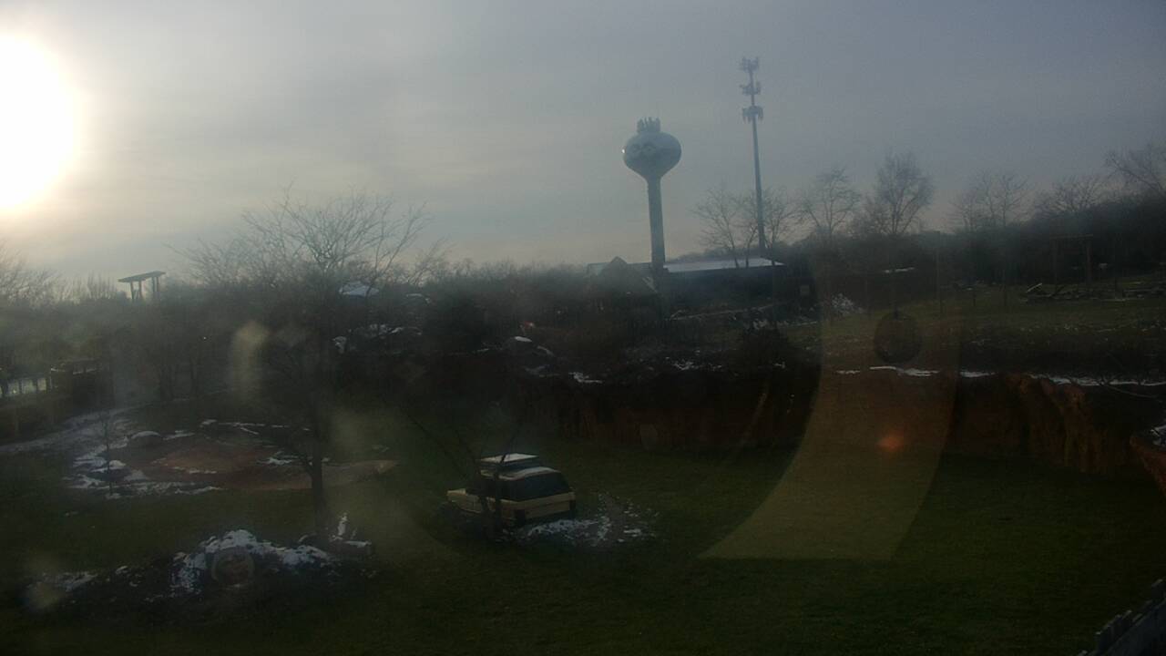 Thumbnail for current weather camera view from Columbus Zoo and Aquarium in Powell, Ohio