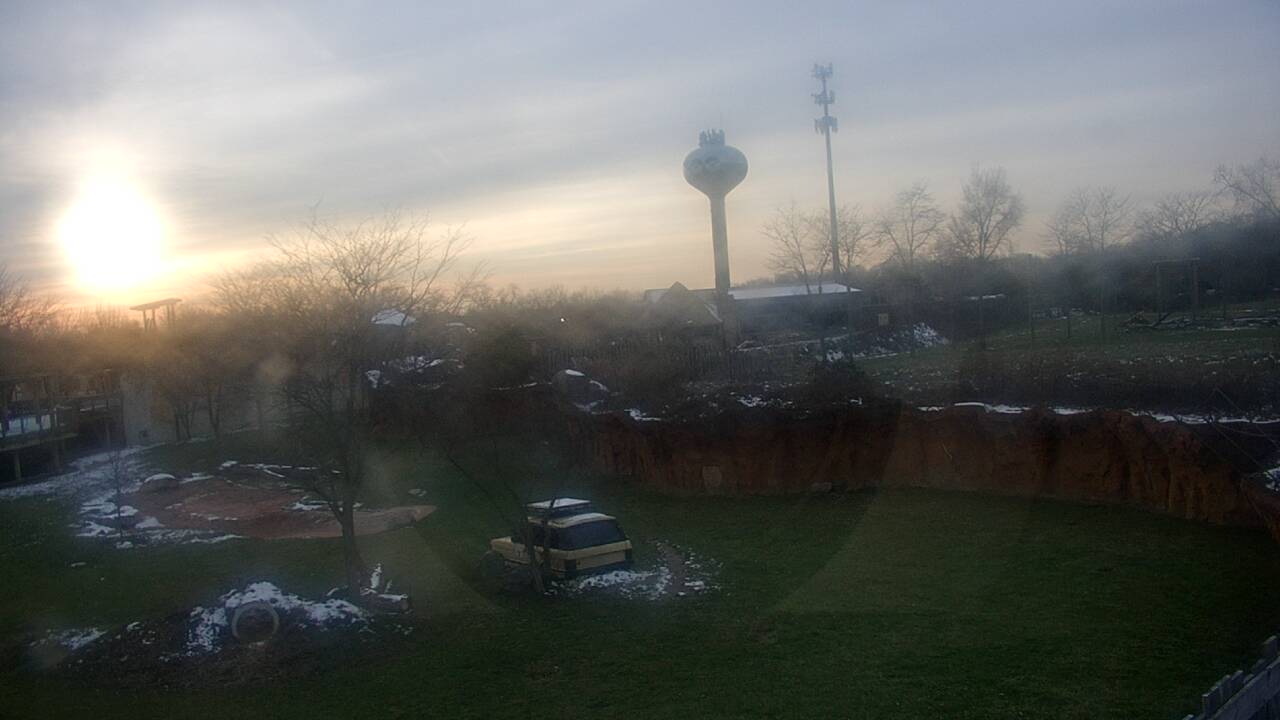 Thumbnail for current weather camera view from Columbus Zoo and Aquarium in Powell, Ohio