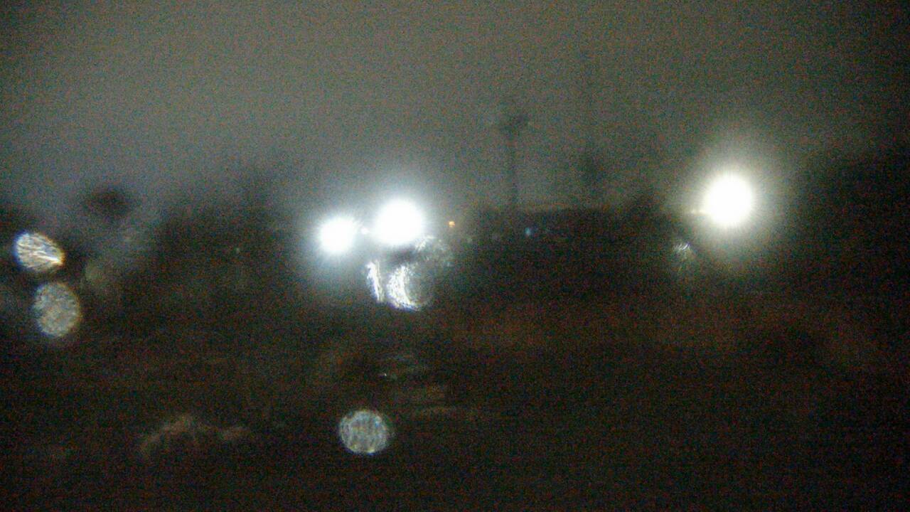 Thumbnail for current weather camera view from Columbus Zoo and Aquarium in Powell, Ohio