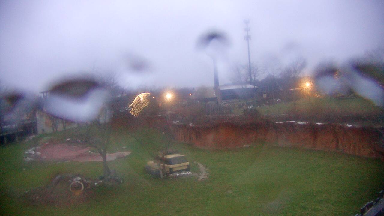 Thumbnail for current weather camera view from Columbus Zoo and Aquarium in Powell, Ohio