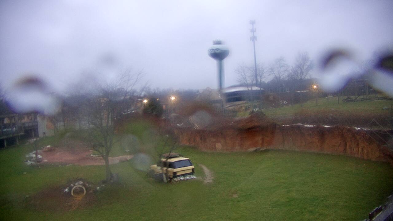 Thumbnail for current weather camera view from Columbus Zoo and Aquarium in Powell, Ohio
