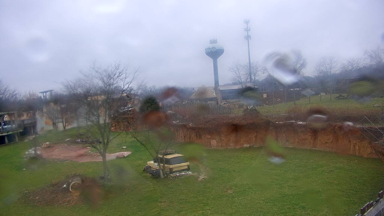 Thumbnail for current weather camera view from Columbus Zoo and Aquarium in Powell, Ohio