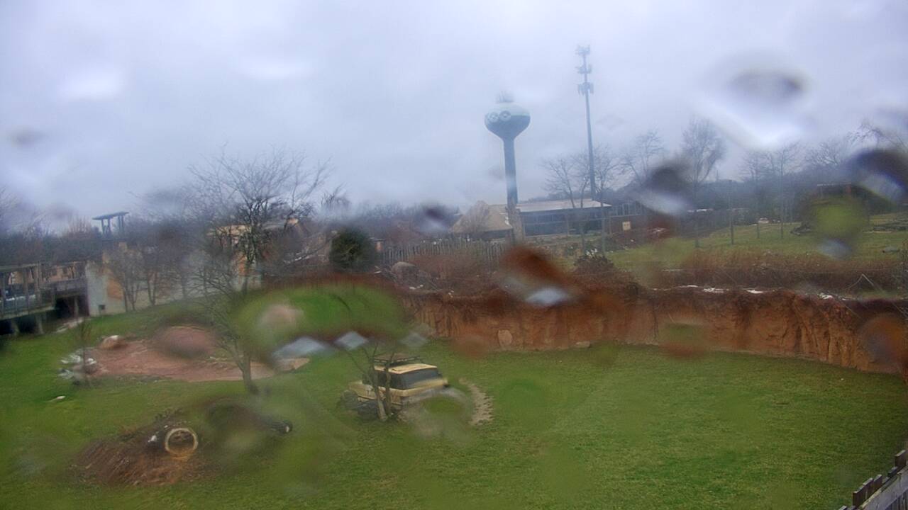 Thumbnail for current weather camera view from Columbus Zoo and Aquarium in Powell, Ohio