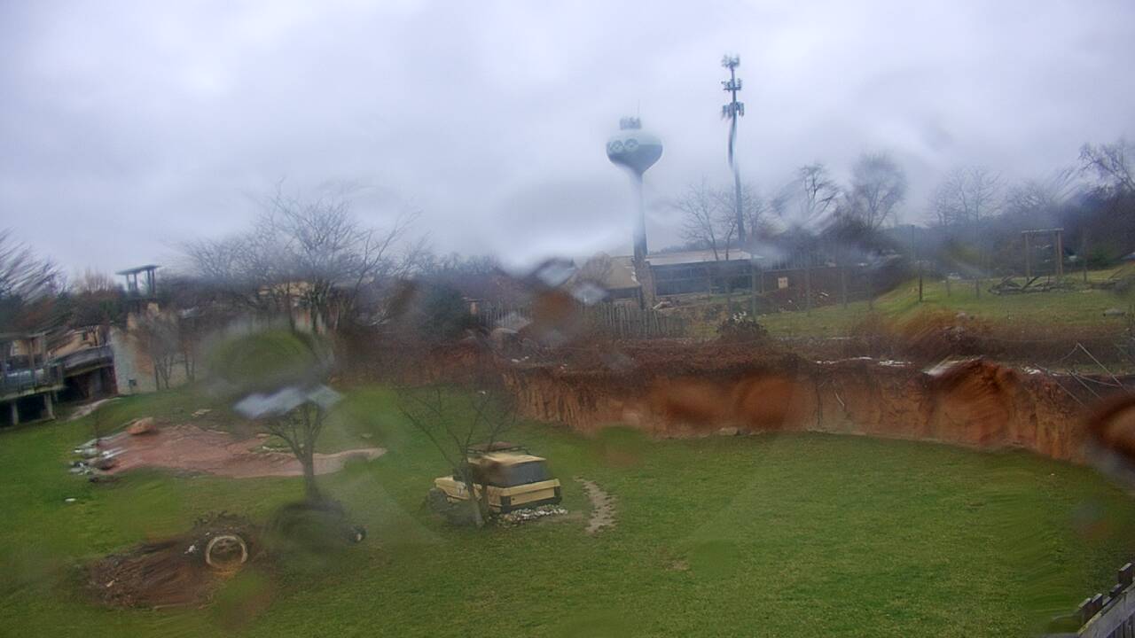 Thumbnail for current weather camera view from Columbus Zoo and Aquarium in Powell, Ohio