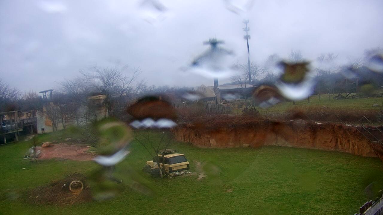 Thumbnail for current weather camera view from Columbus Zoo and Aquarium in Powell, Ohio