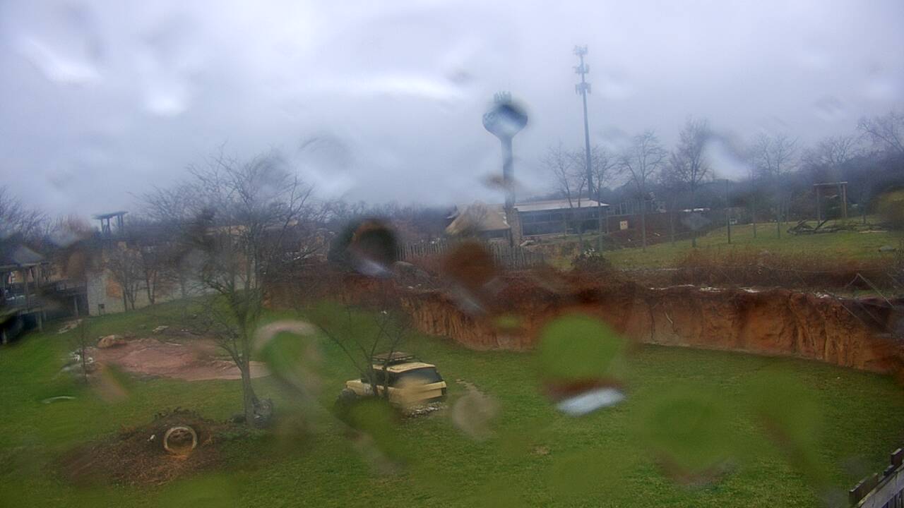 Thumbnail for current weather camera view from Columbus Zoo and Aquarium in Powell, Ohio