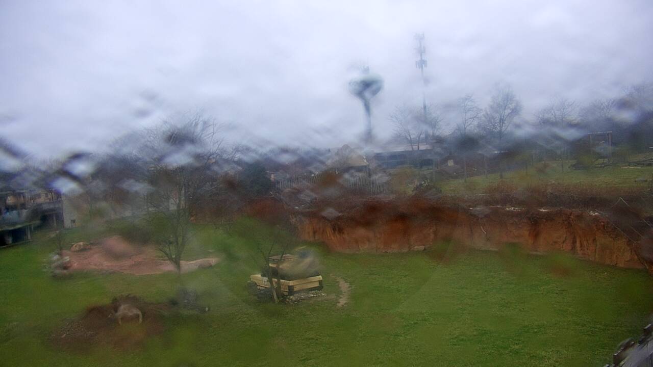 Thumbnail for current weather camera view from Columbus Zoo and Aquarium in Powell, Ohio