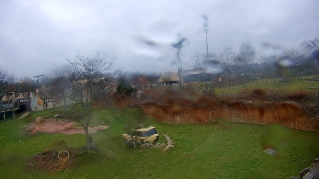 Thumbnail for current weather camera view from Columbus Zoo and Aquarium in Powell, Ohio