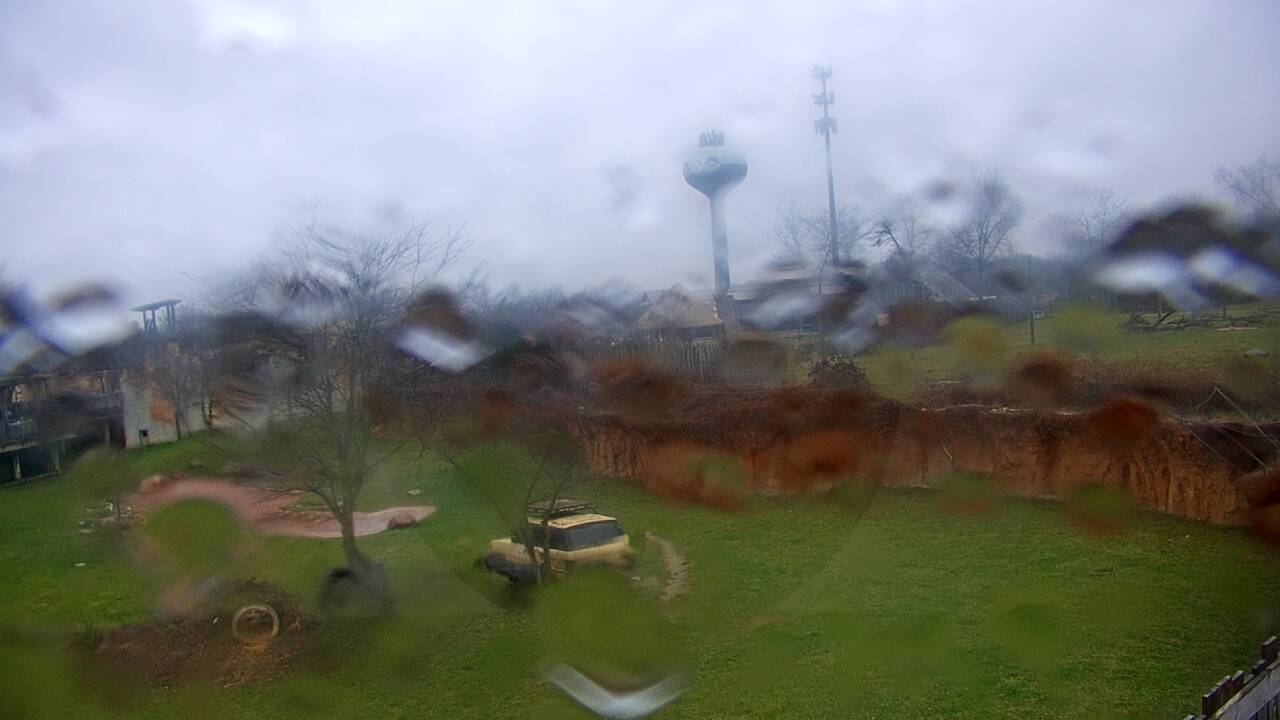 Thumbnail for current weather camera view from Columbus Zoo and Aquarium in Powell, Ohio