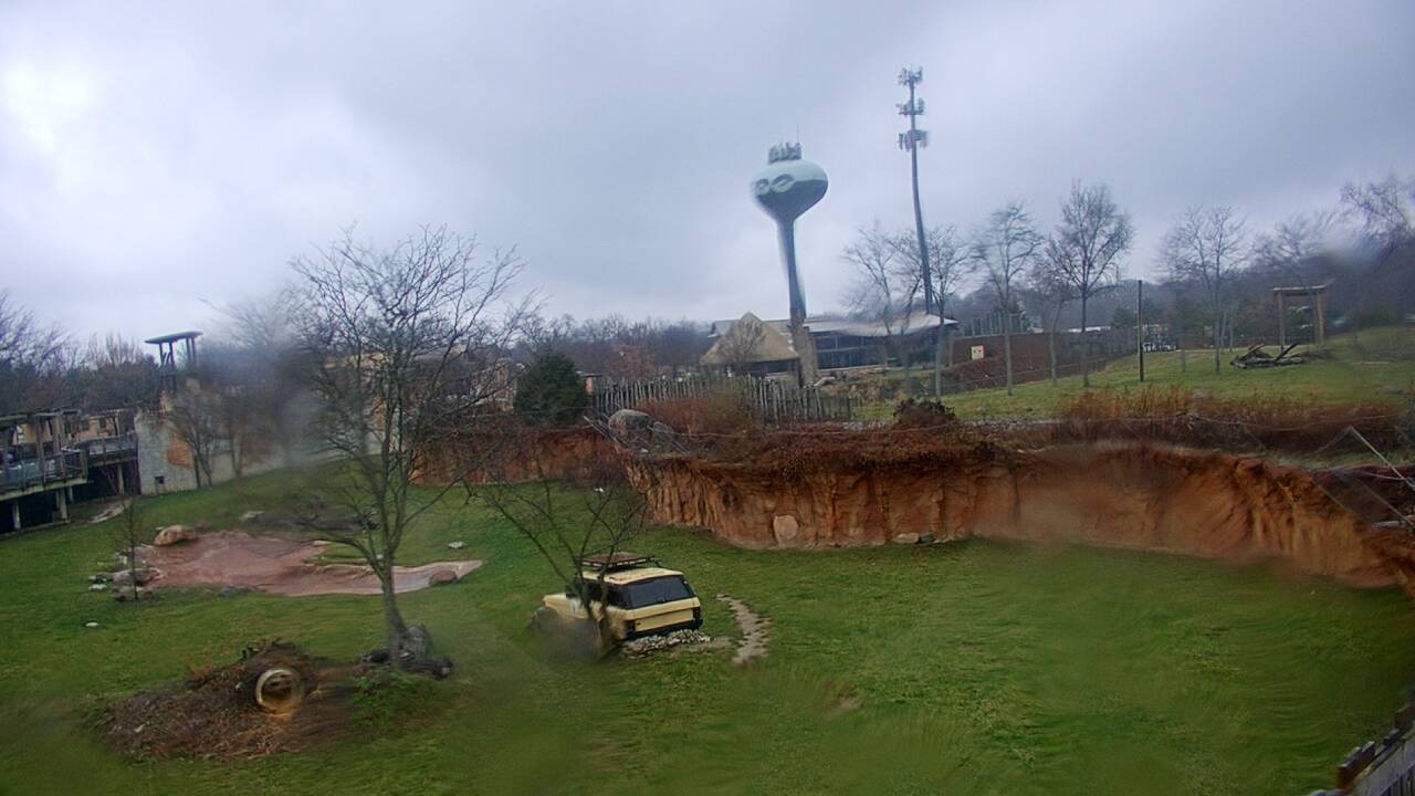 Thumbnail for current weather camera view from Columbus Zoo and Aquarium in Powell, Ohio