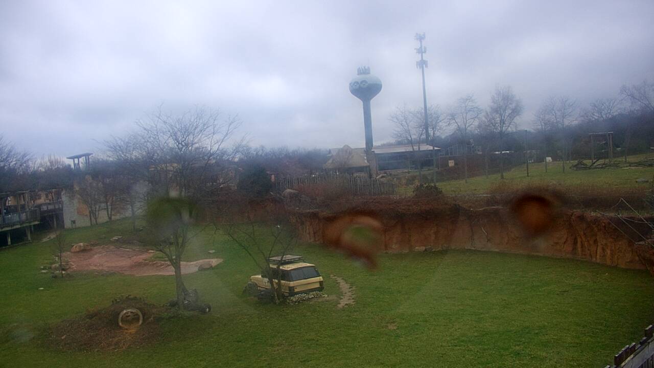 Thumbnail for current weather camera view from Columbus Zoo and Aquarium in Powell, Ohio