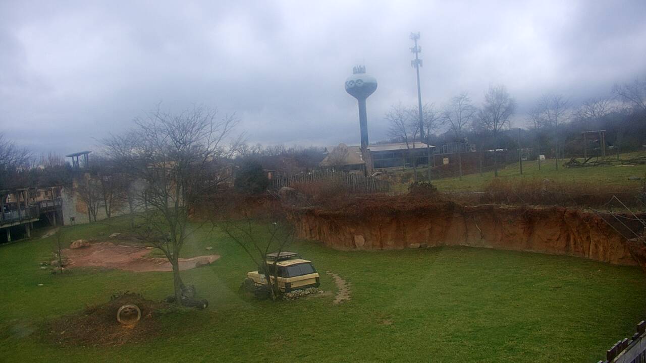 Thumbnail for current weather camera view from Columbus Zoo and Aquarium in Powell, Ohio