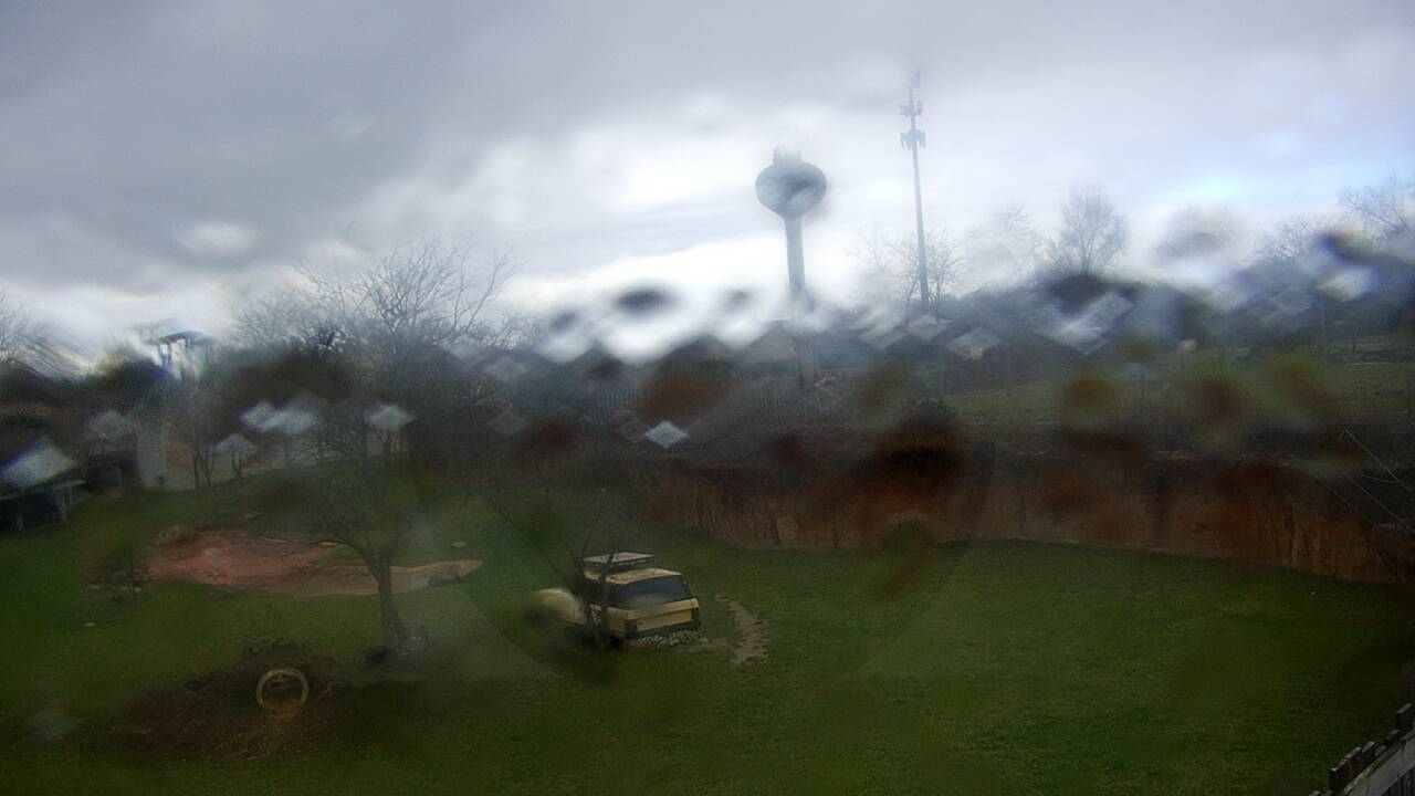 Thumbnail for current weather camera view from Columbus Zoo and Aquarium in Powell, Ohio