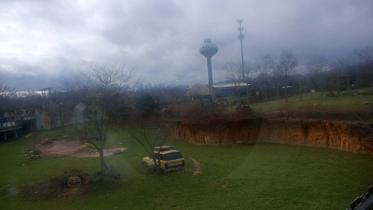 Thumbnail for current weather camera view from Columbus Zoo and Aquarium in Powell, Ohio