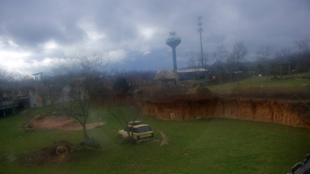 Thumbnail for current weather camera view from Columbus Zoo and Aquarium in Powell, Ohio