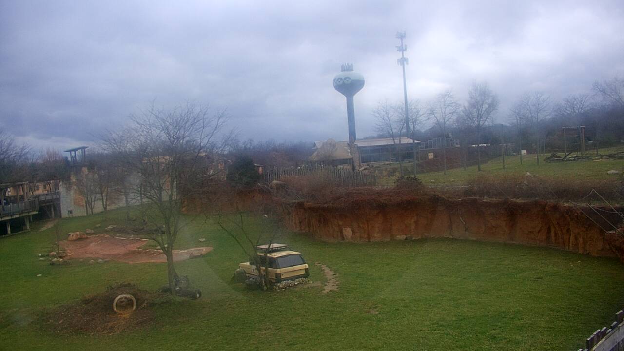 Thumbnail for current weather camera view from Columbus Zoo and Aquarium in Powell, Ohio