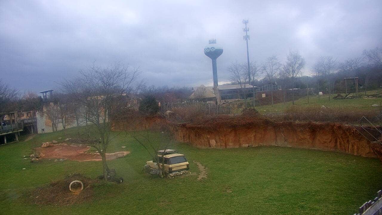 Thumbnail for current weather camera view from Columbus Zoo and Aquarium in Powell, Ohio