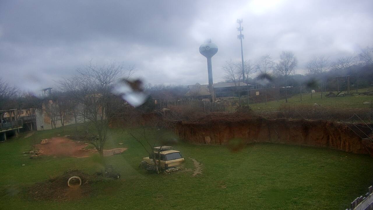 Thumbnail for current weather camera view from Columbus Zoo and Aquarium in Powell, Ohio