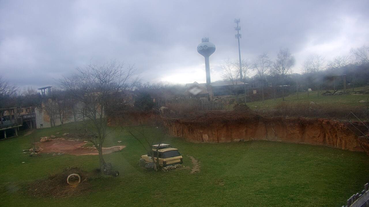 Thumbnail for current weather camera view from Columbus Zoo and Aquarium in Powell, Ohio