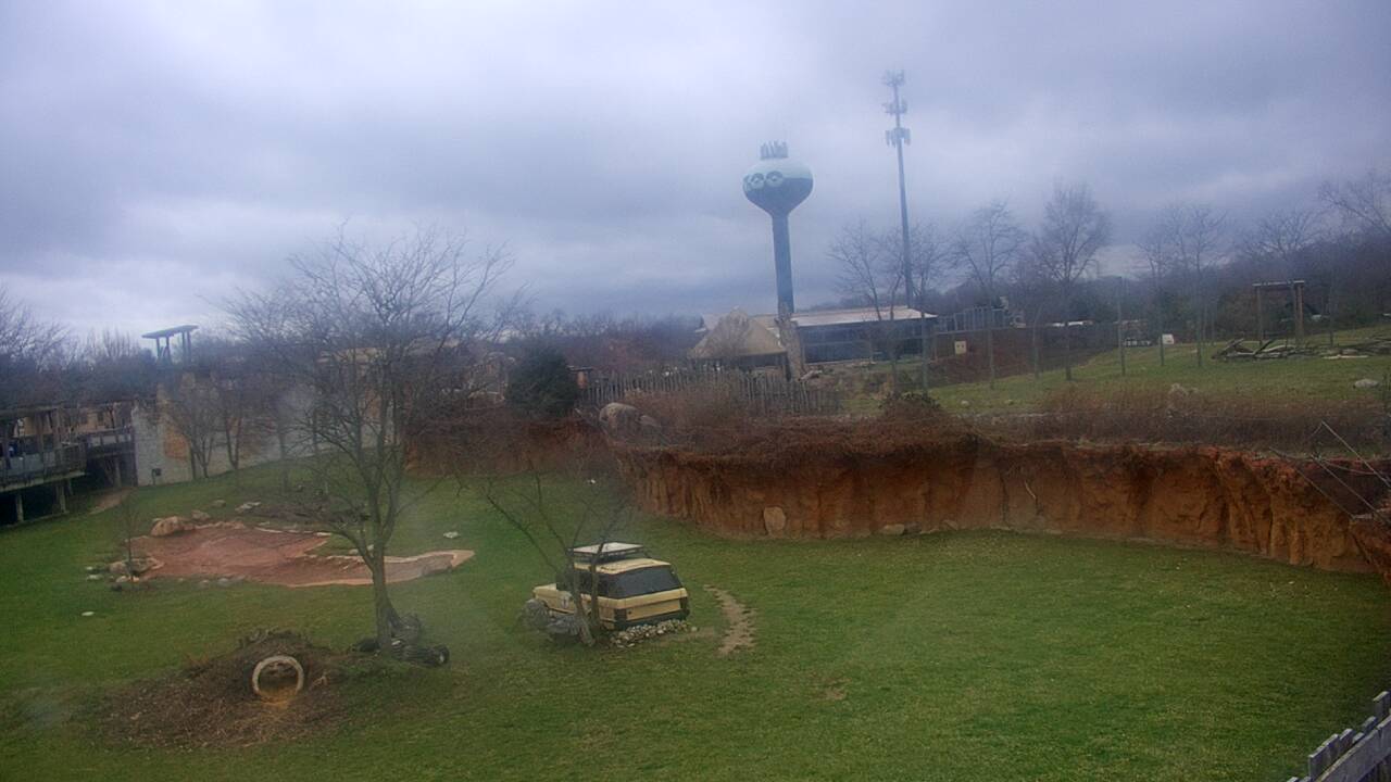 Thumbnail for current weather camera view from Columbus Zoo and Aquarium in Powell, Ohio