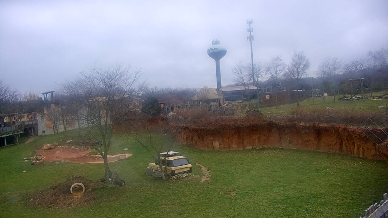 Thumbnail for current weather camera view from Columbus Zoo and Aquarium in Powell, Ohio