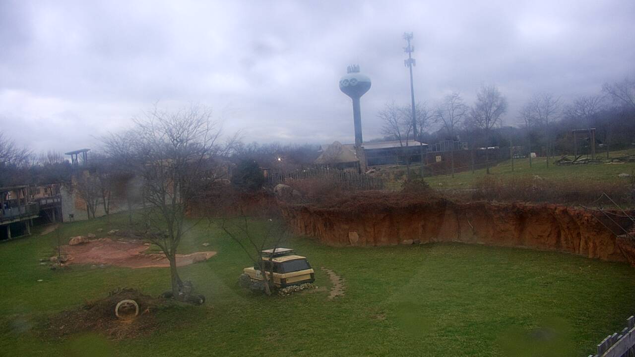 Thumbnail for current weather camera view from Columbus Zoo and Aquarium in Powell, Ohio