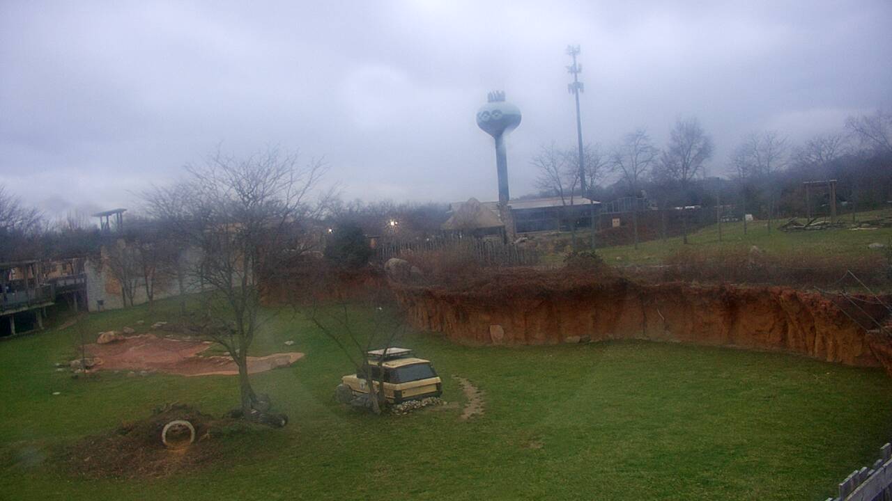 Thumbnail for current weather camera view from Columbus Zoo and Aquarium in Powell, Ohio