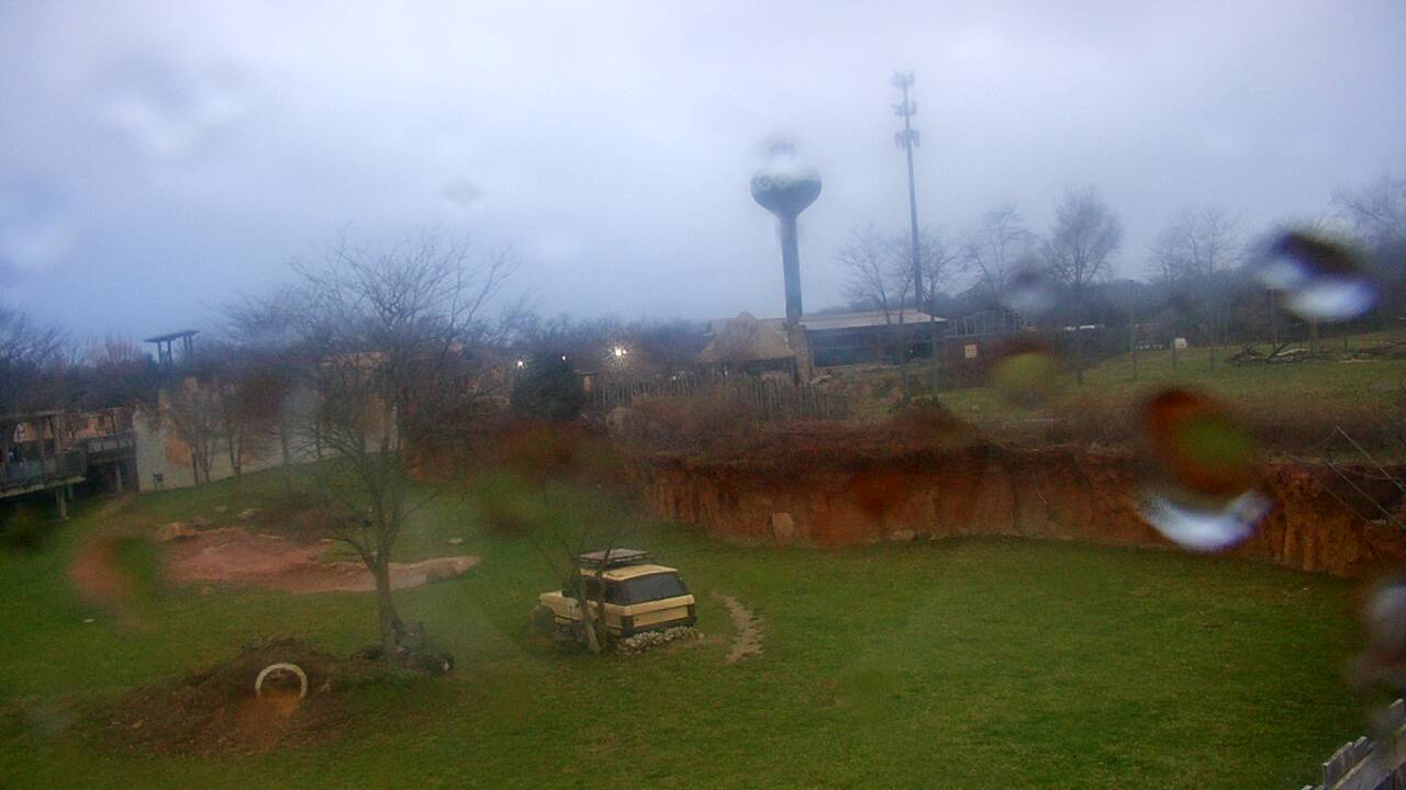 Thumbnail for current weather camera view from Columbus Zoo and Aquarium in Powell, Ohio