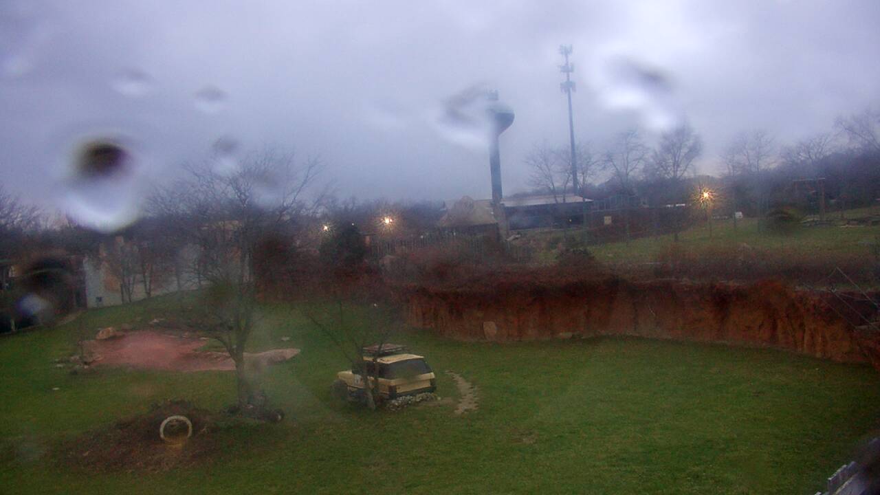 Thumbnail for current weather camera view from Columbus Zoo and Aquarium in Powell, Ohio