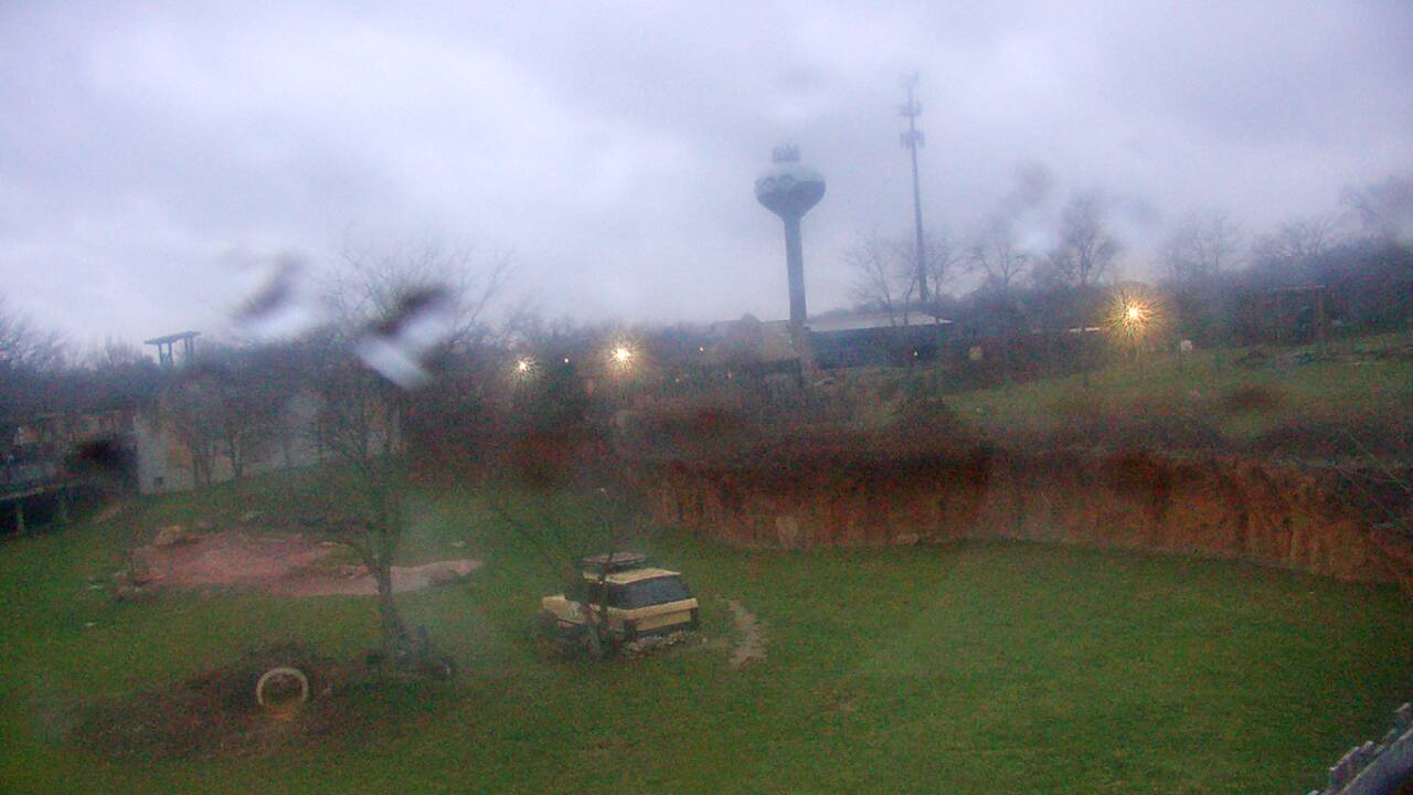 Thumbnail for current weather camera view from Columbus Zoo and Aquarium in Powell, Ohio