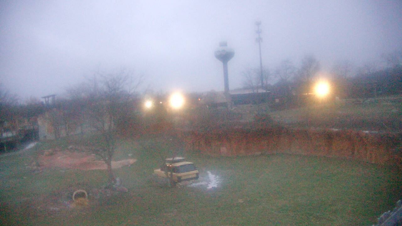 Thumbnail for current weather camera view from Columbus Zoo and Aquarium in Powell, Ohio