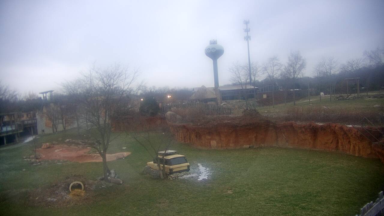 Thumbnail for current weather camera view from Columbus Zoo and Aquarium in Powell, Ohio