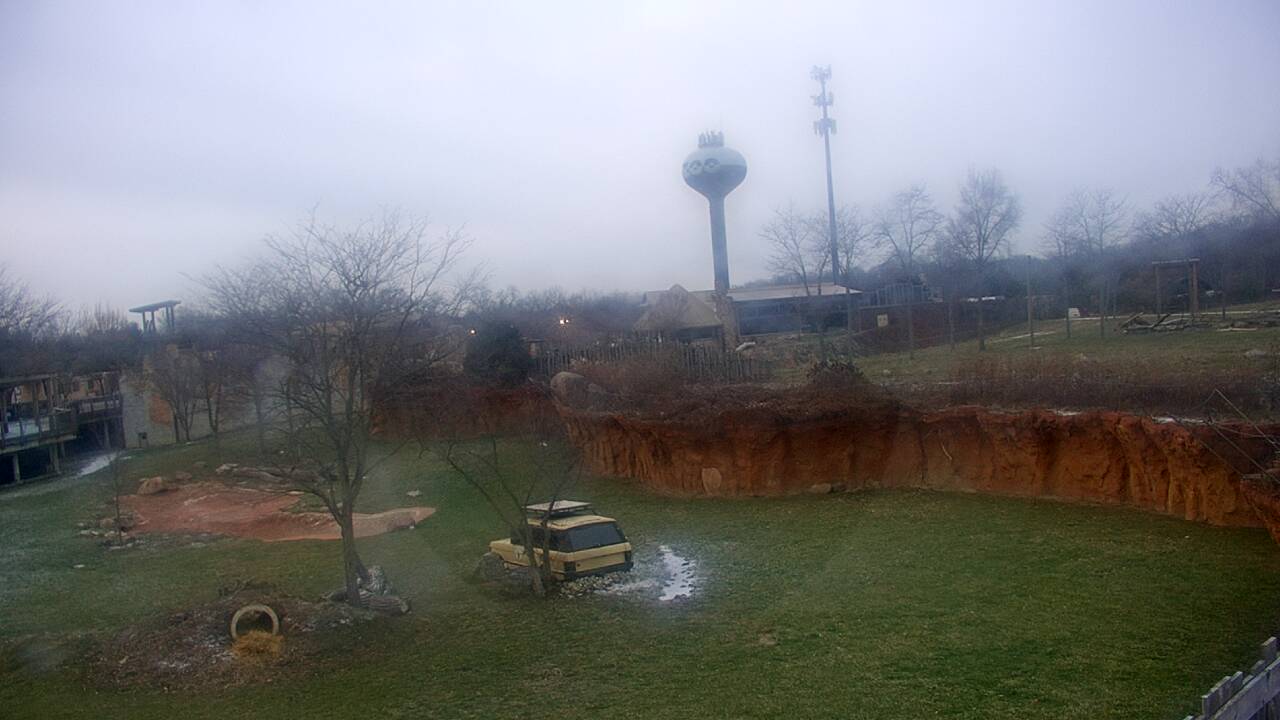 Thumbnail for current weather camera view from Columbus Zoo and Aquarium in Powell, Ohio
