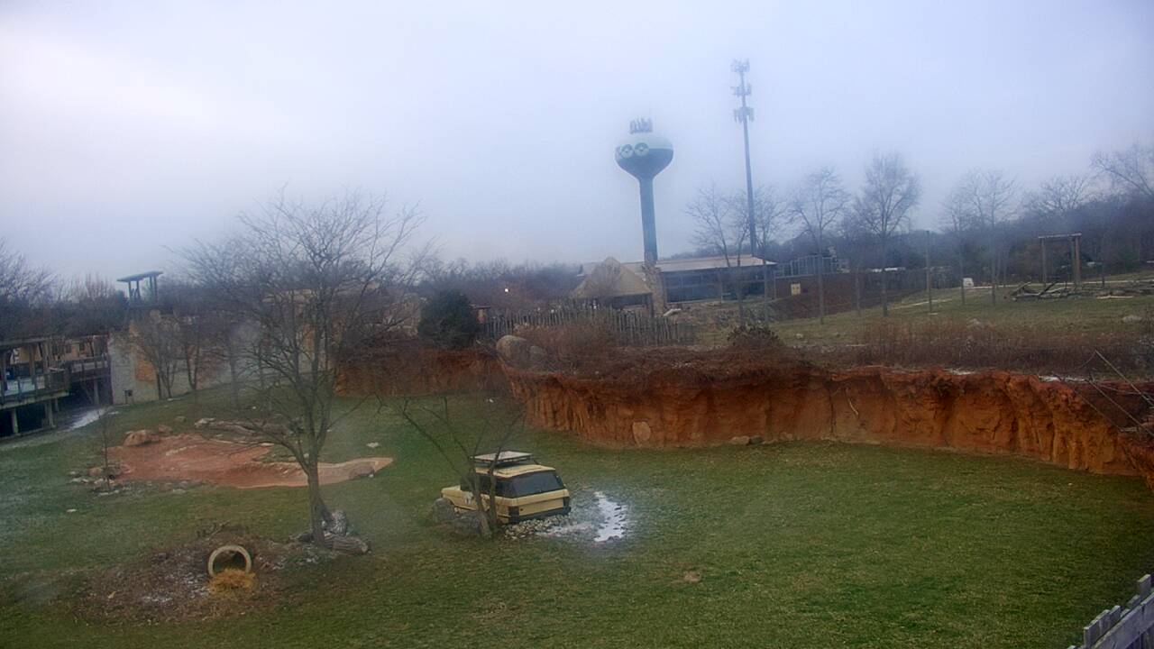 Thumbnail for current weather camera view from Columbus Zoo and Aquarium in Powell, Ohio