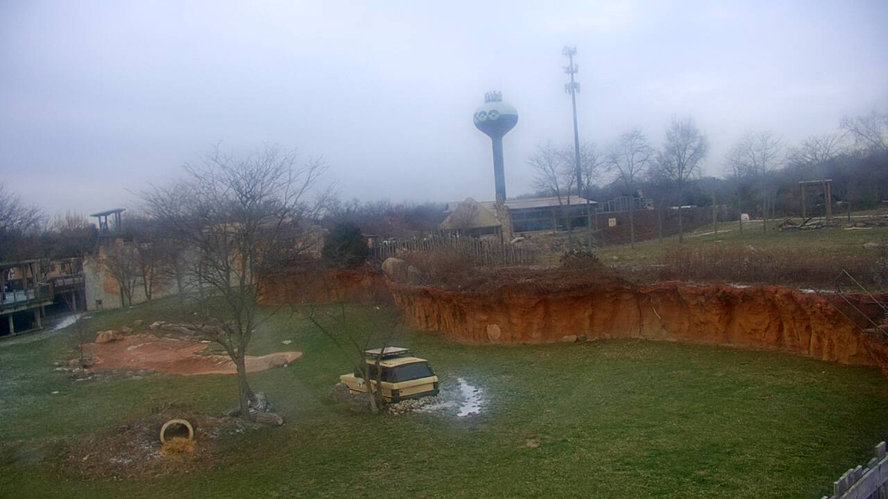 Thumbnail for current weather camera view from Columbus Zoo and Aquarium in Powell, Ohio