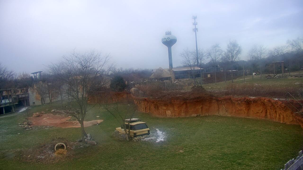 Thumbnail for current weather camera view from Columbus Zoo and Aquarium in Powell, Ohio