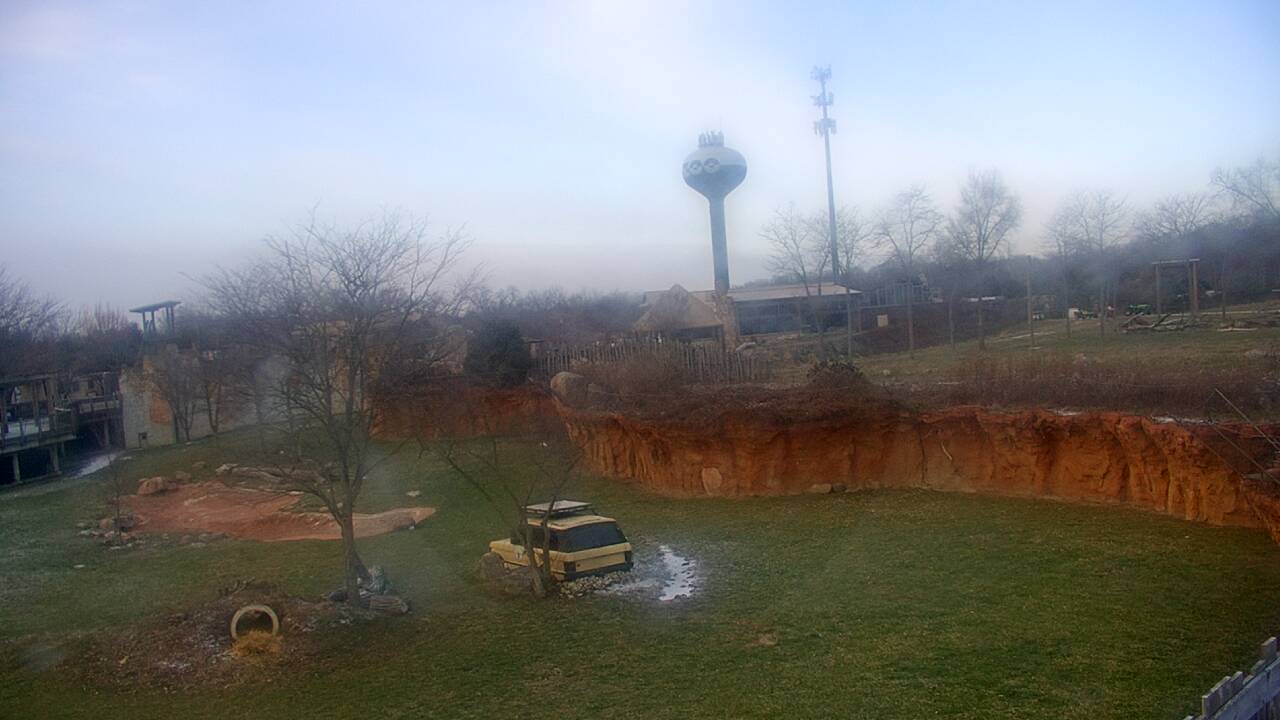 Thumbnail for current weather camera view from Columbus Zoo and Aquarium in Powell, Ohio