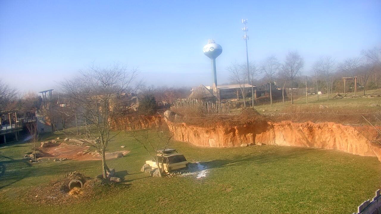 Thumbnail for current weather camera view from Columbus Zoo and Aquarium in Powell, Ohio