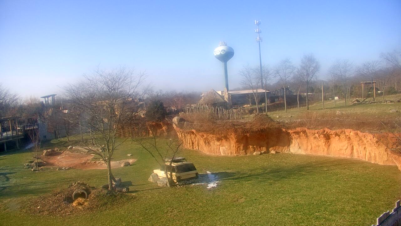 Thumbnail for current weather camera view from Columbus Zoo and Aquarium in Powell, Ohio