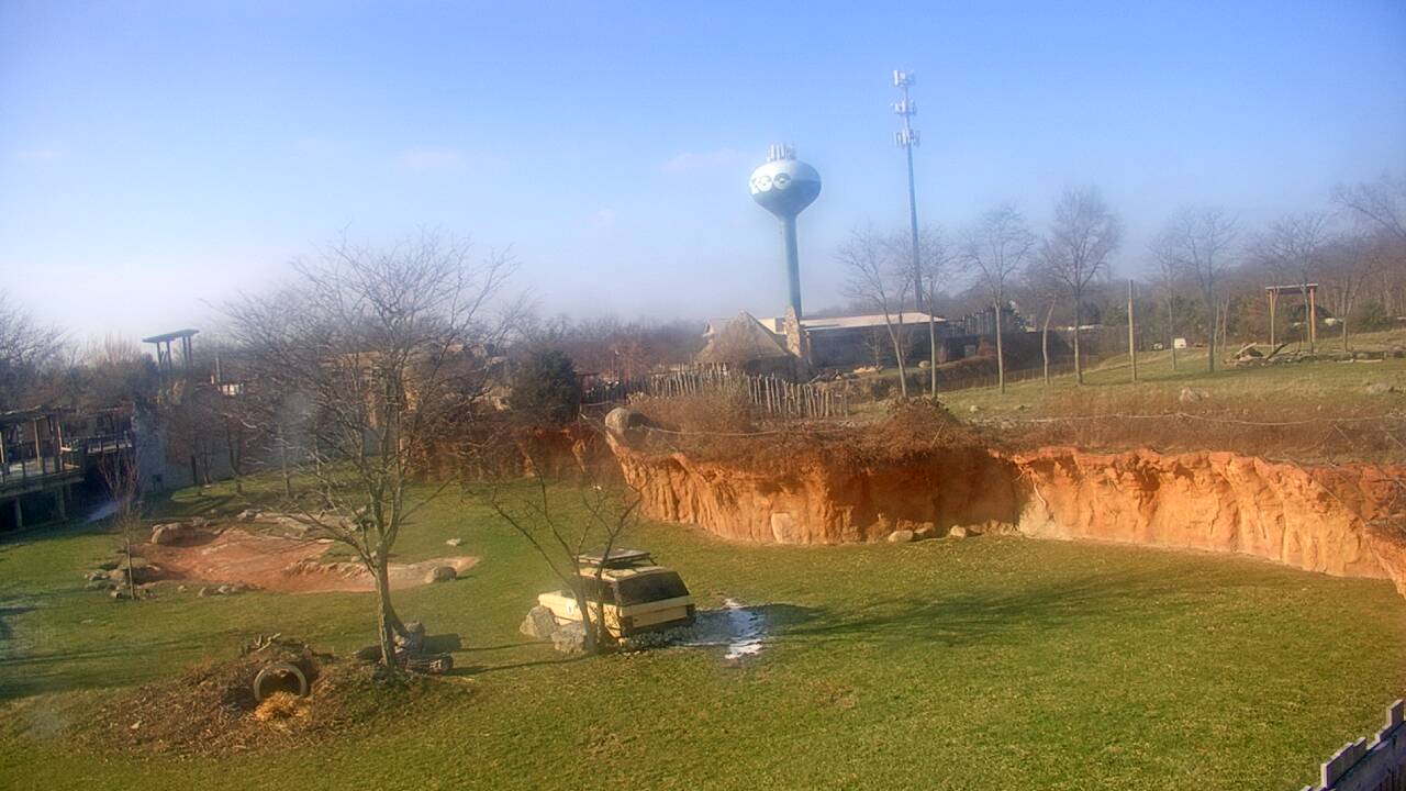 Thumbnail for current weather camera view from Columbus Zoo and Aquarium in Powell, Ohio