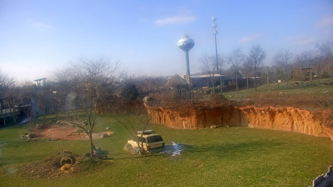 Thumbnail for current weather camera view from Columbus Zoo and Aquarium in Powell, Ohio